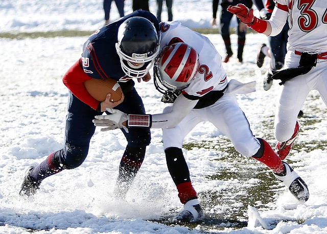 正是依靠对 正是依靠对